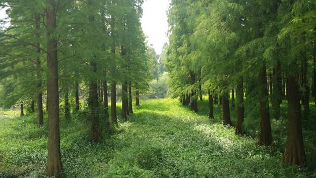 东湖湿地公园门票,东湖湿地公园门票价格,东湖