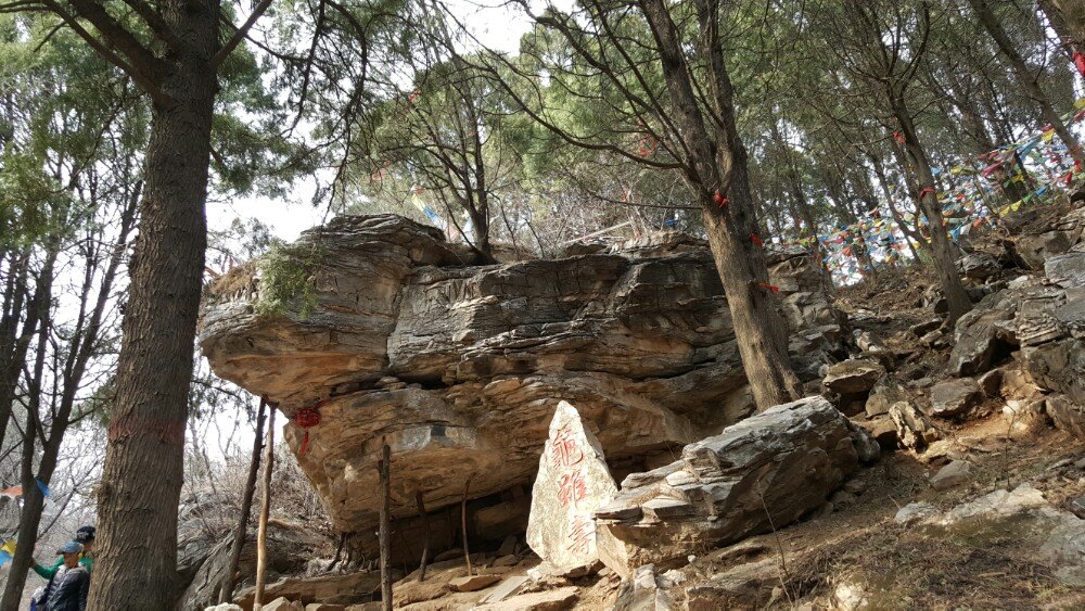 2023北京聖泉山旅遊風景區遊玩攻略,.5元門票太貴,主道是沒臺.