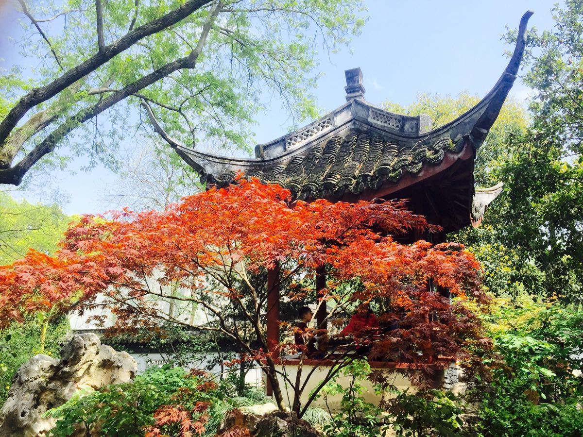 【携程攻略】松江区醉白池景点,醉白池是上海3a级风景区,人很多,这