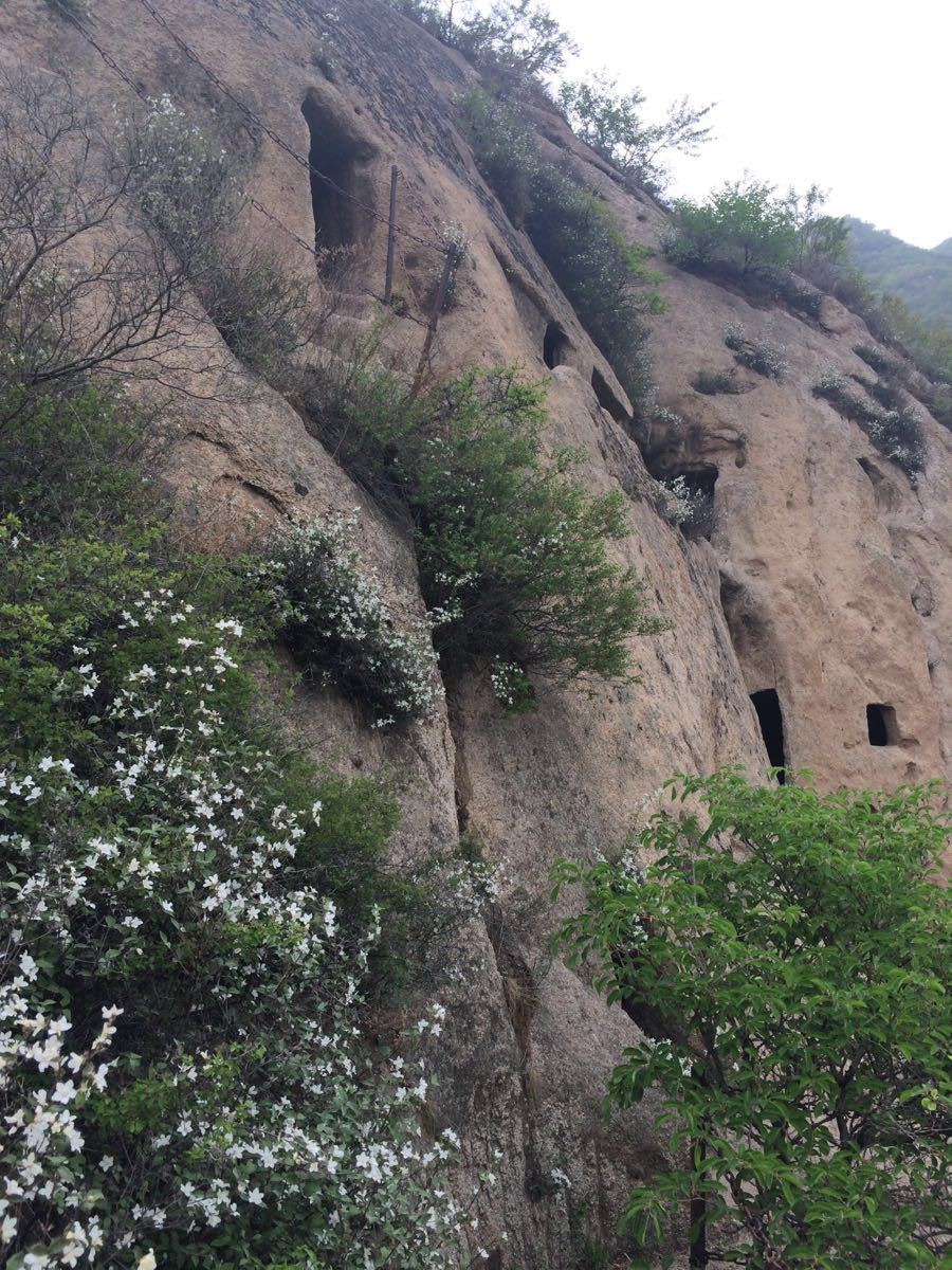 天皇山旅游风景区图片