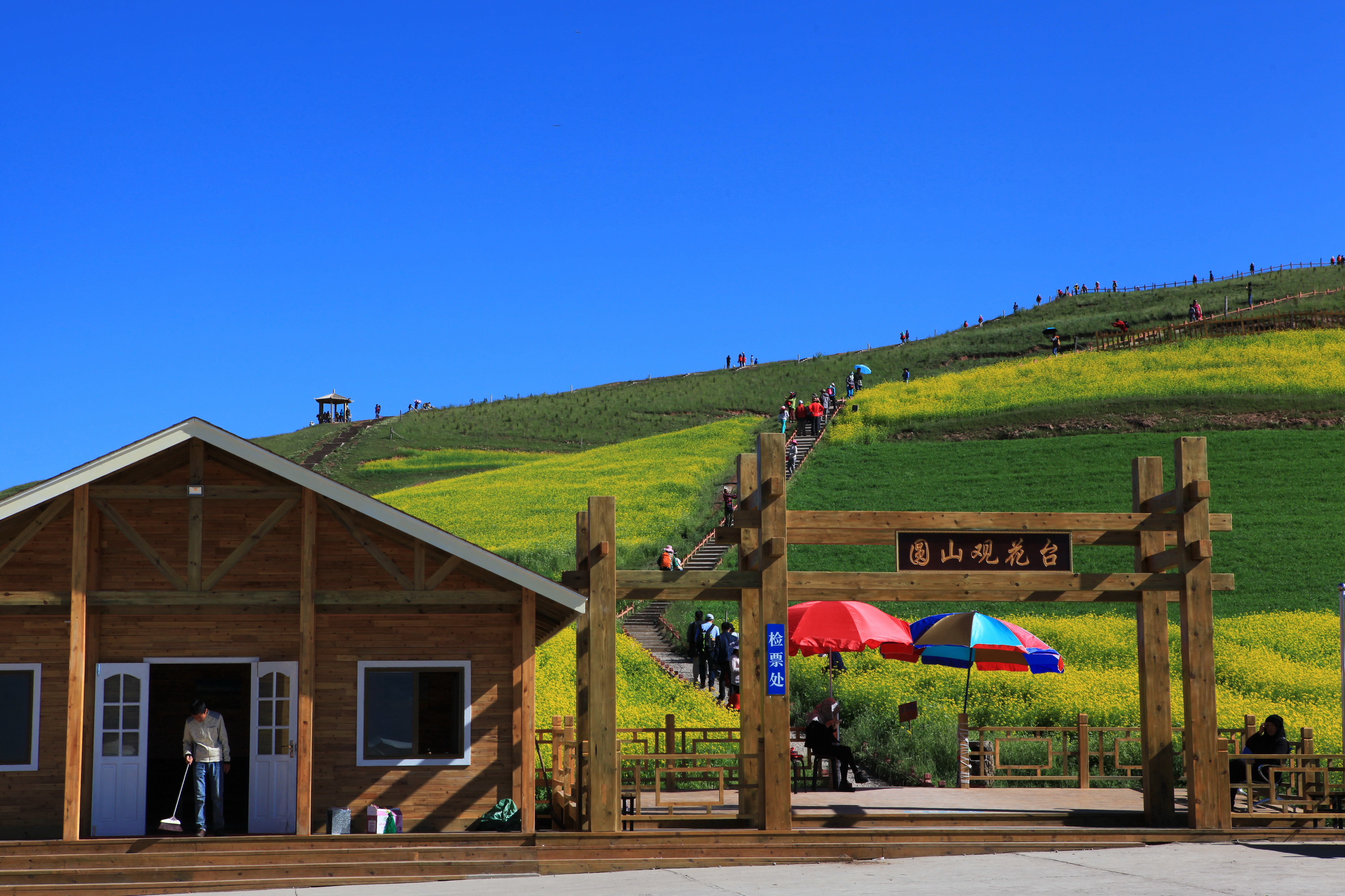 【携程攻略】门源门源百里油菜花海景点,青石嘴园山观花台是门源油菜