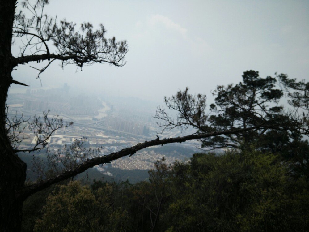 2019鼓山_旅遊攻略_門票_地址_遊記點評,福州旅遊景點推薦 - 去哪兒