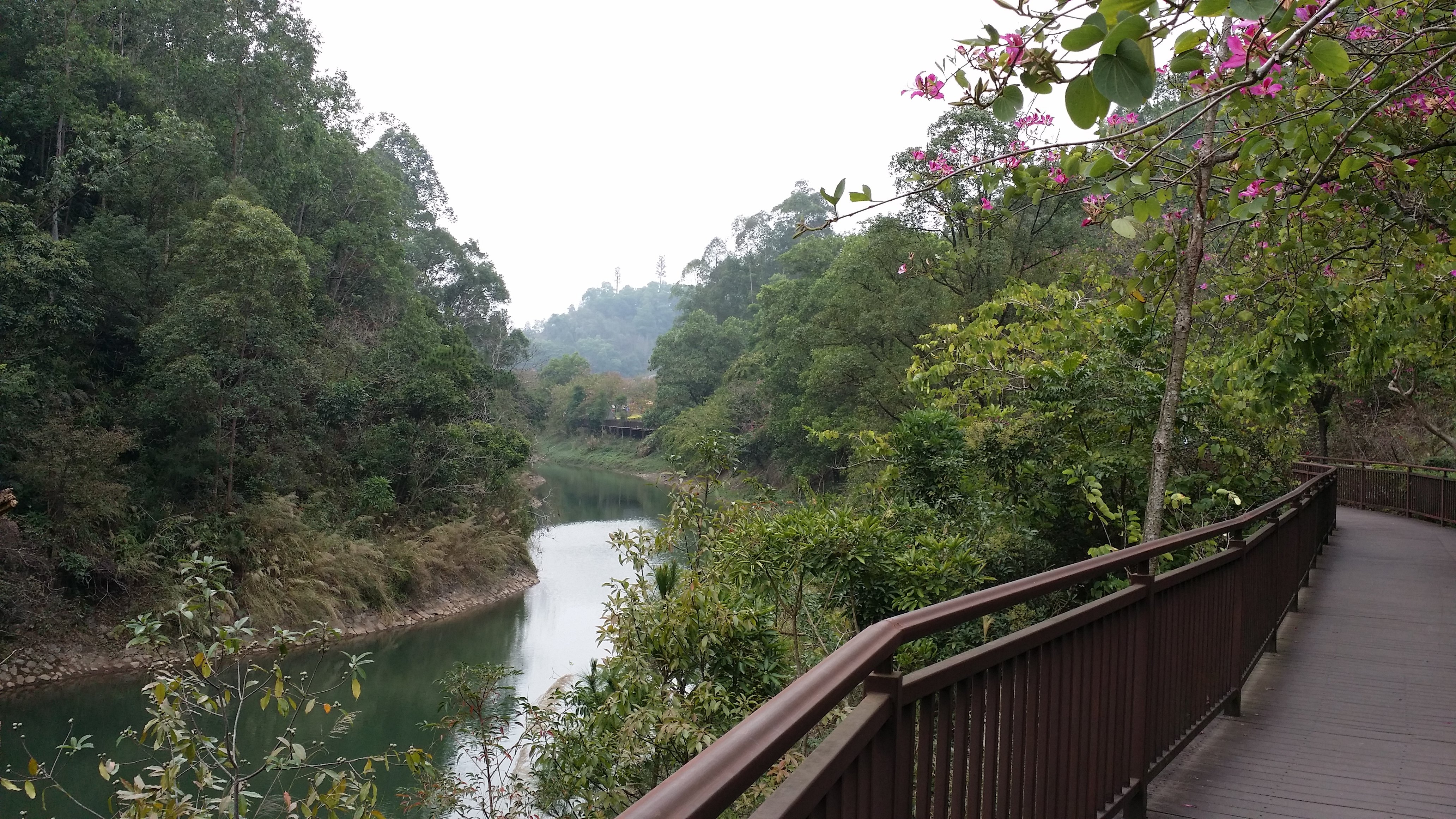 【携程攻略】惠州红花湖景点,红花湖公园由水库改建而成.