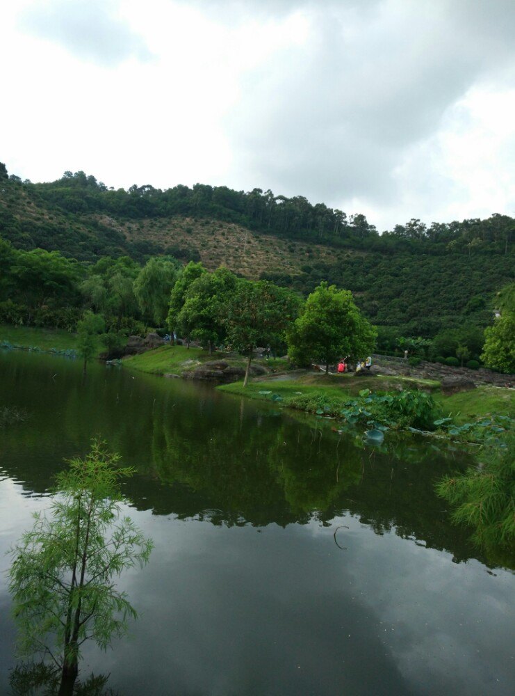 虎门石洞森林公园