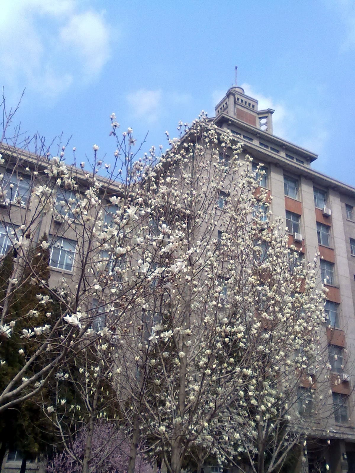 沈阳东北大学旧址好玩吗,沈阳东北大学旧址景点怎么样_点评_评价