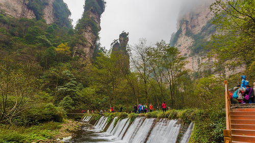 张家界国家森林公园 天子山 袁家界一日游【vip独立成团 专车专导 拒