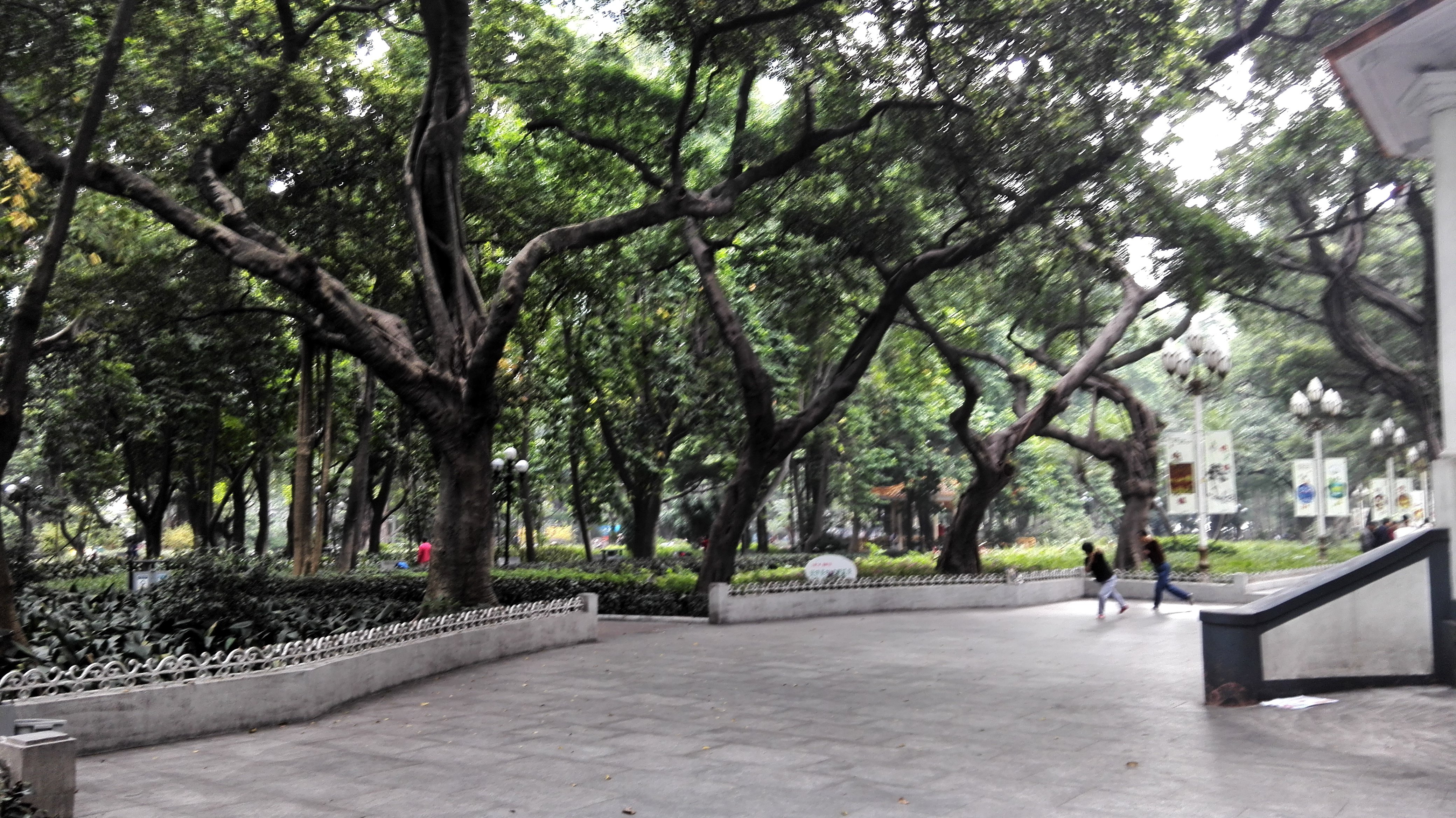 【攜程攻略】廣州人民公園適合單獨旅行旅遊嗎,人民公園單獨旅行景點