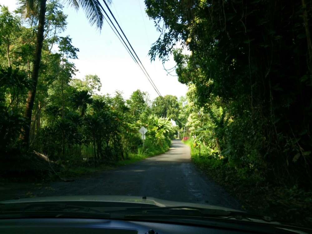 茂宜岛哈纳公路好玩吗,茂宜岛哈纳公路景点怎么样_点评_评价【携程
