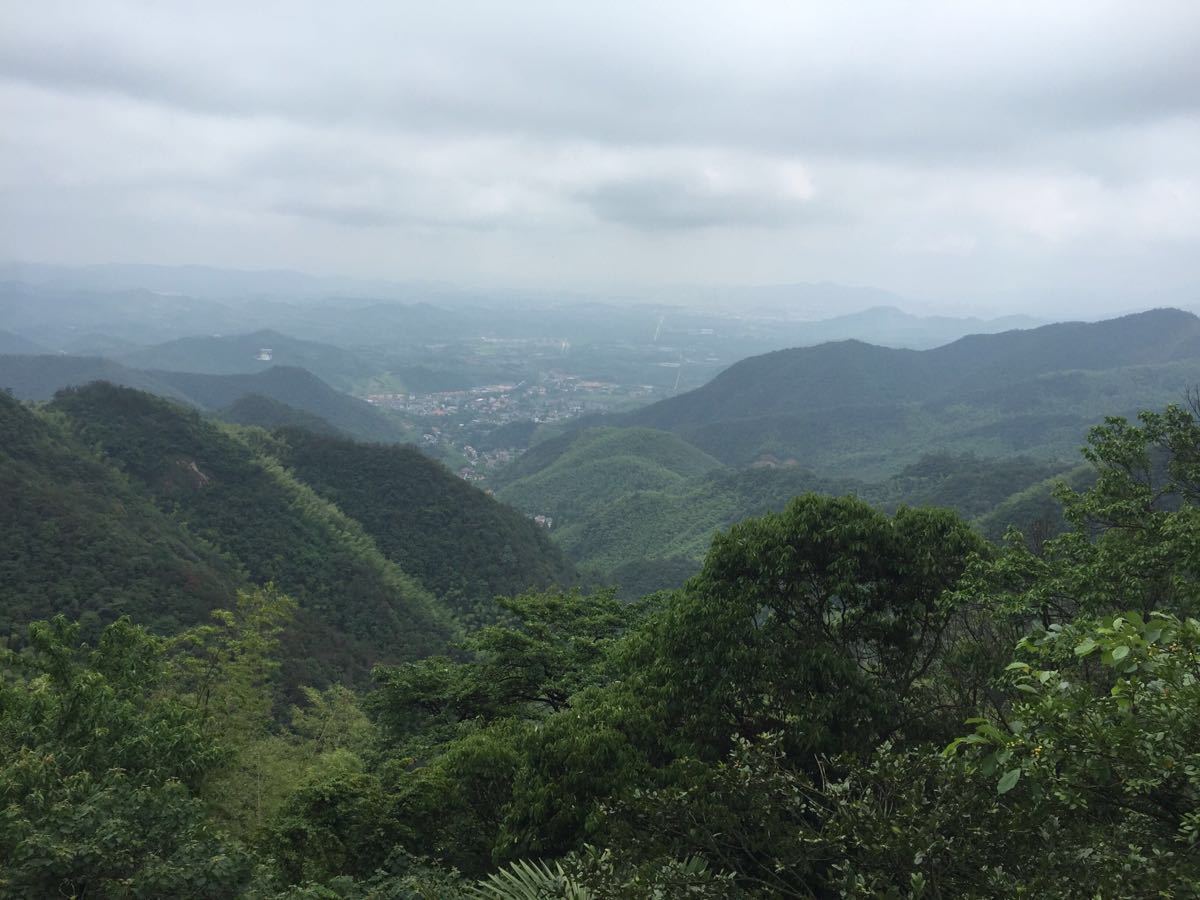 2019莫干山景區-旅遊攻略-門票-地址-問答-遊記點評,莫干山旅遊旅遊景