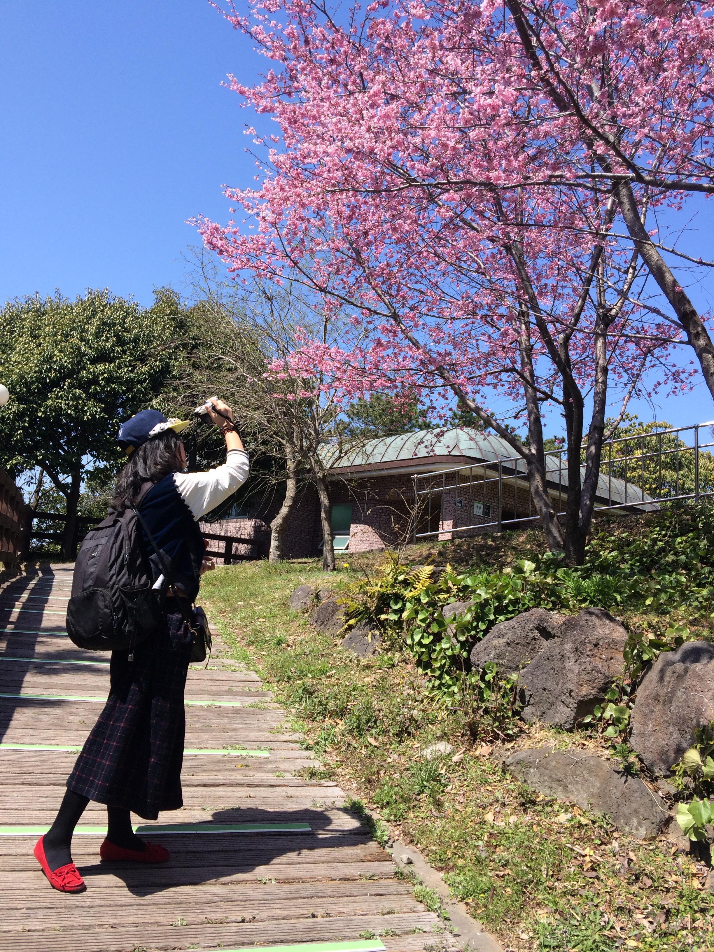 偶来小路jeju olle