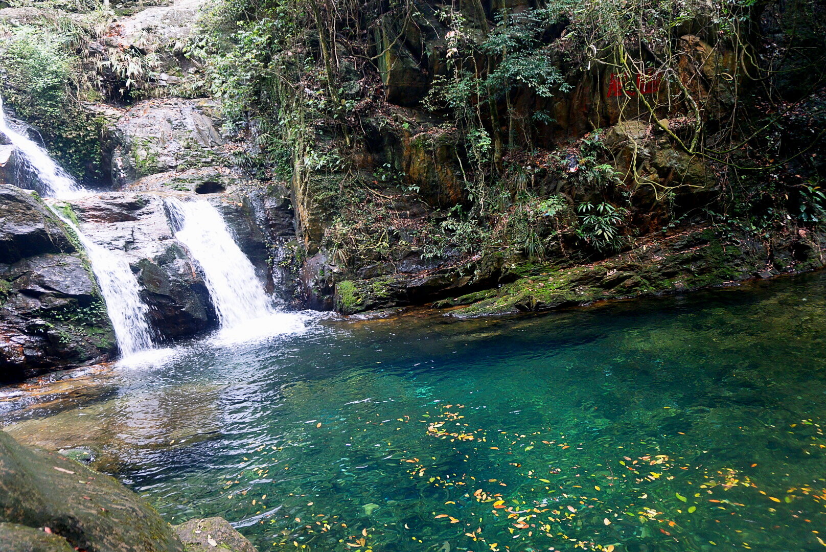 鼎湖山