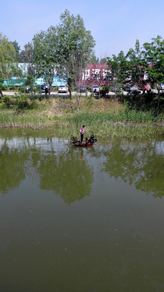 【攜程攻略】江蘇宿遷泗洪縣洪澤湖溼地公園好玩嗎,江蘇洪澤湖溼地