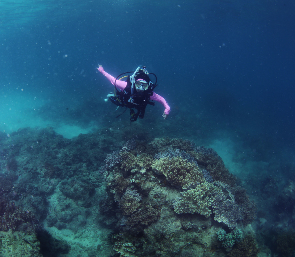 三亚太阳湾潜水体验