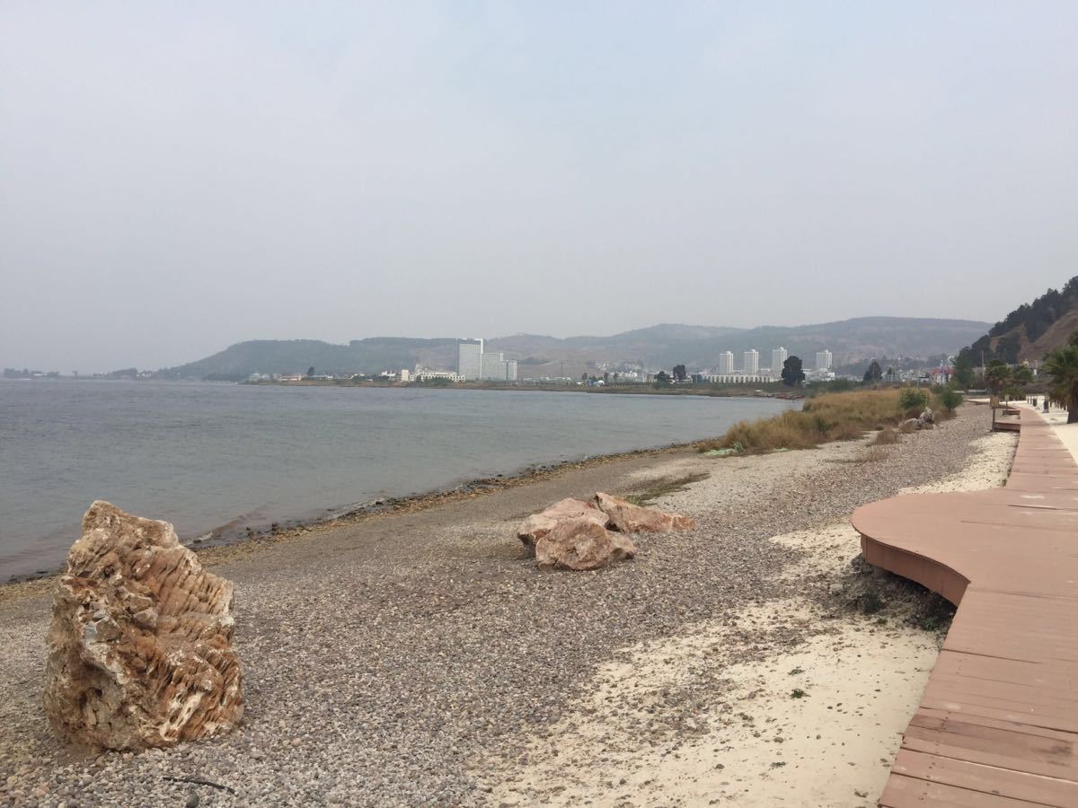 2019樱花谷_旅游攻略_门票_地址_游记点评,澄江旅游景点推荐 - 去哪儿