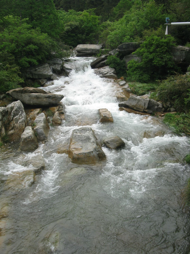 一山飞峙大江边-登庐山