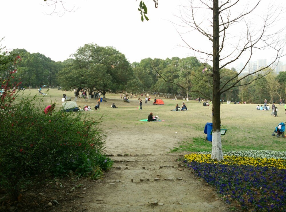 2019成都植物園_旅遊攻略_門票_地址_遊記點評,成都旅遊景點推薦 - 去