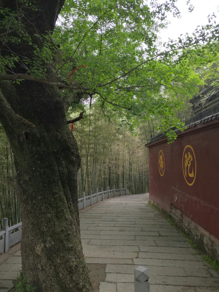 白竹园寺风景区离枣阳城区大约1小时,北邻南阳,属桐柏山脉.