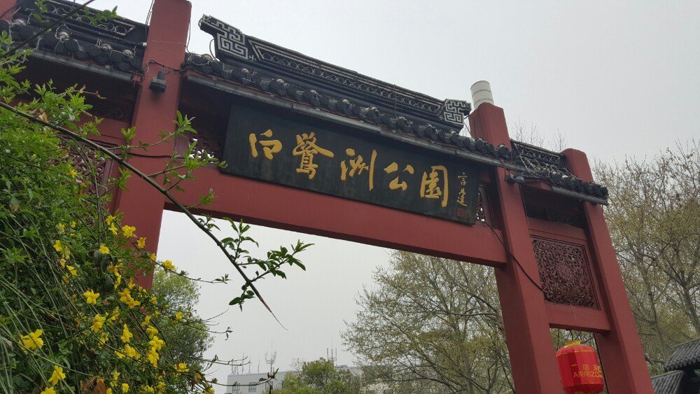南京白鹭洲公园介绍图片