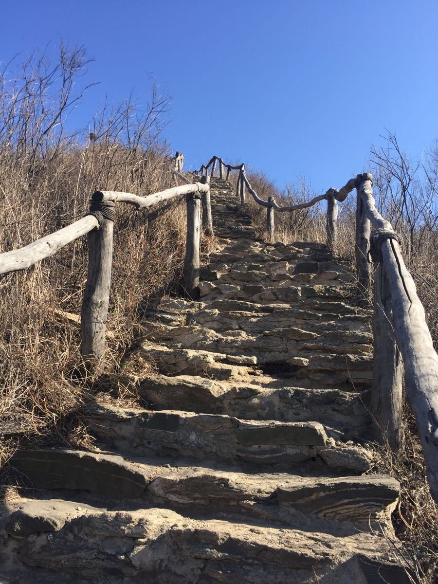 小黑山森林公園