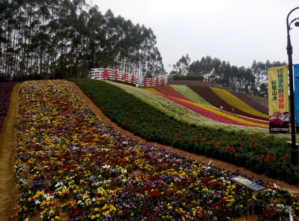 十里蓝山攻略(十里蓝山游玩攻略)