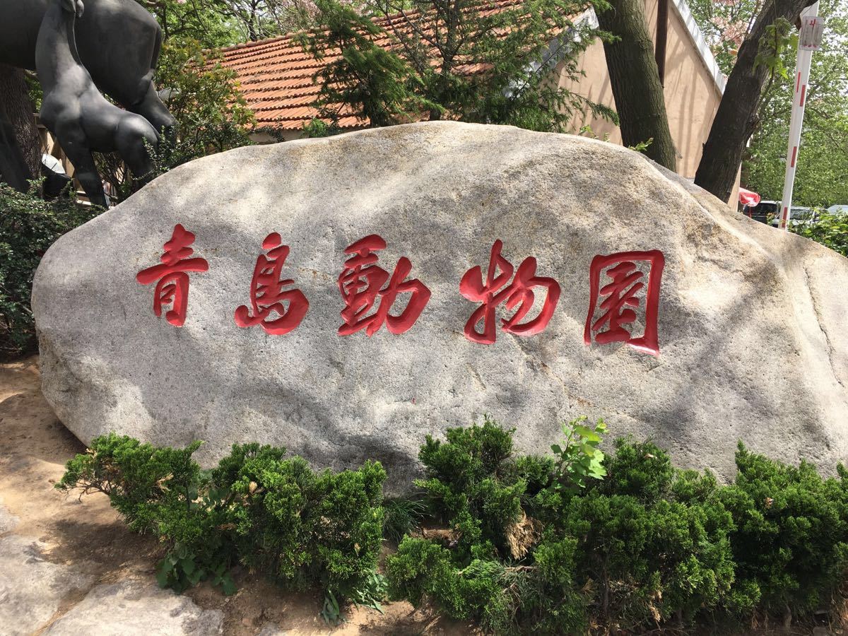 青岛动物园