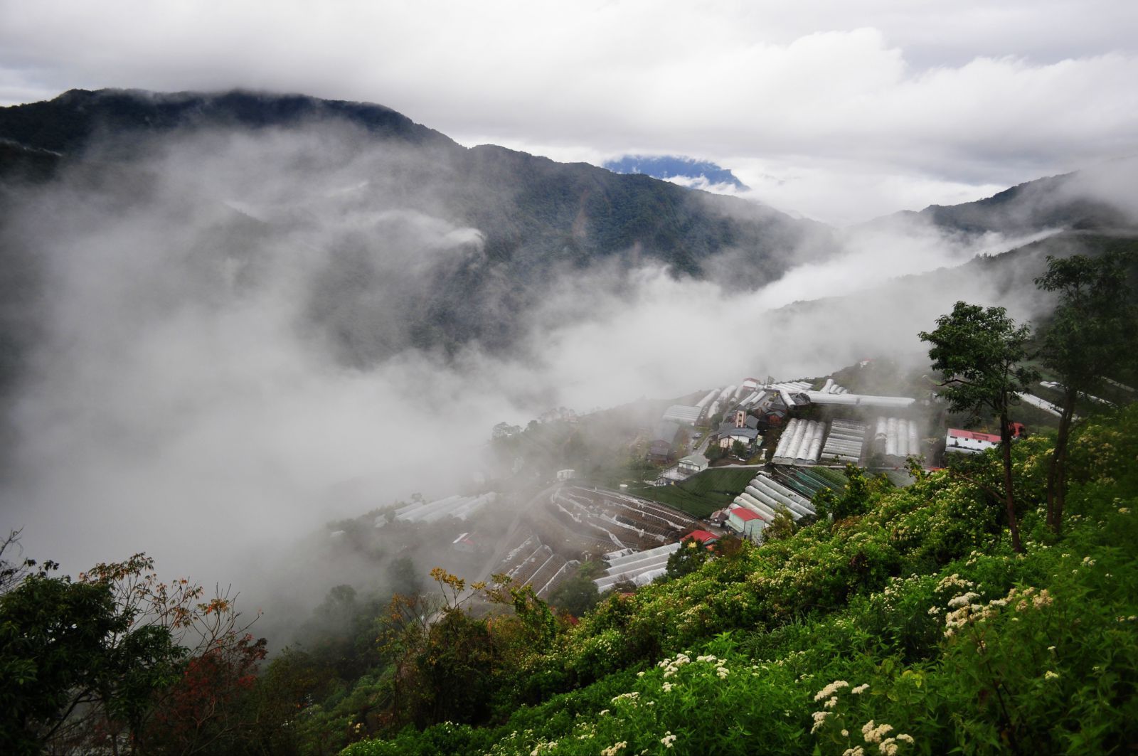 南投市清境农场好玩吗,南投市清境农场景点怎么样_点评_评价【携程