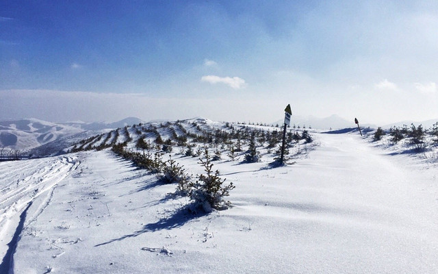 新雪国 张家口崇礼之密苑云顶滑雪场 崇礼区游记攻略 携程攻略