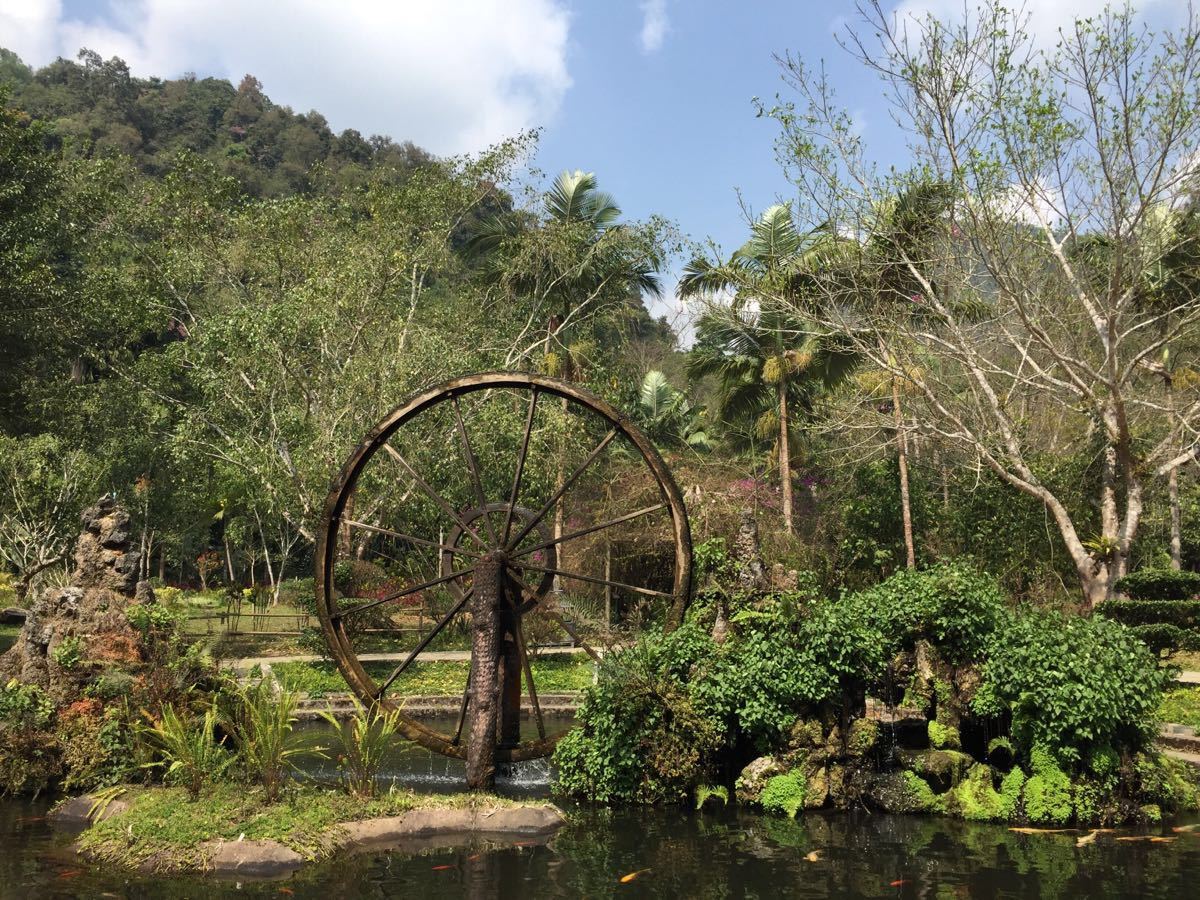 莫里熱帶雨林景區旅遊景點攻略圖