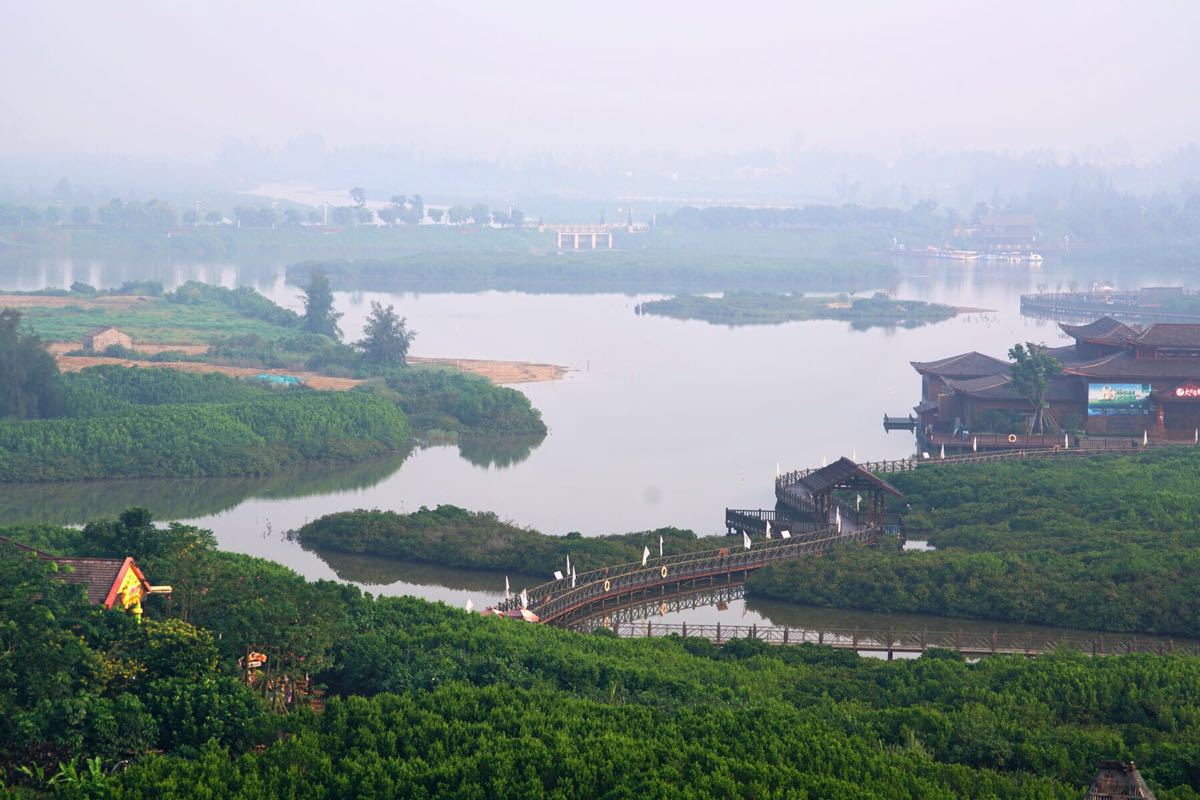 深圳红树湾湿地公园图片
