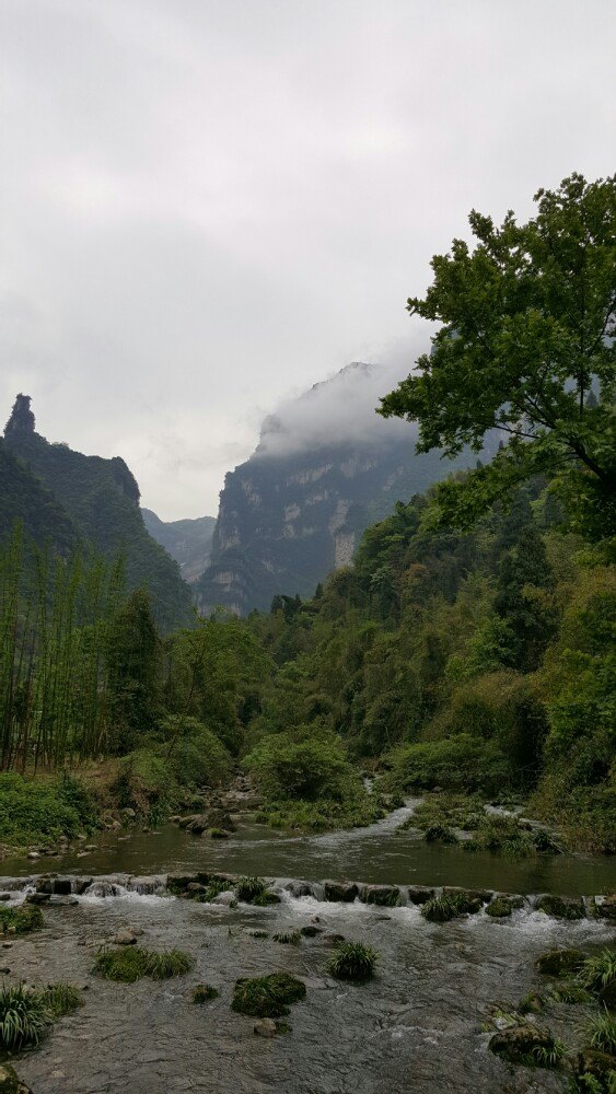 2019三峽竹海_旅遊攻略_門票_地址_遊記點評,秭歸旅遊景點推薦 - 去