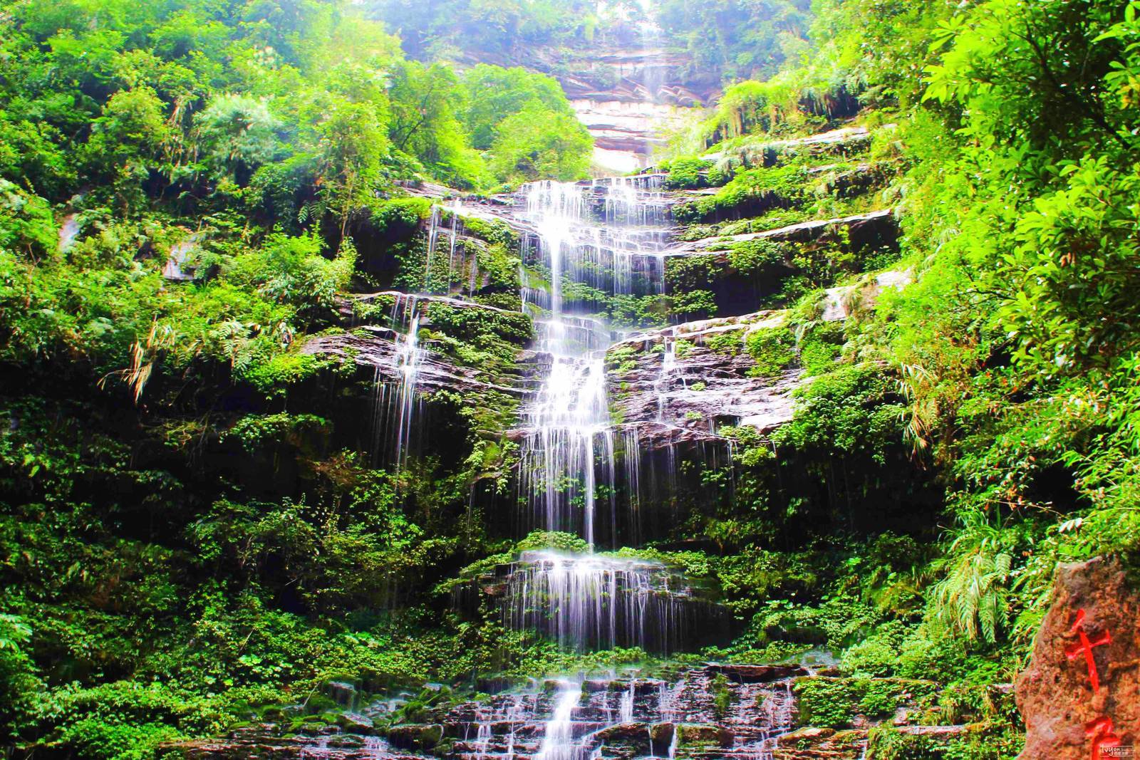 2023雅安碧峰峡熊猫基地游玩攻略,...还是这是中国保护大熊猫研...【