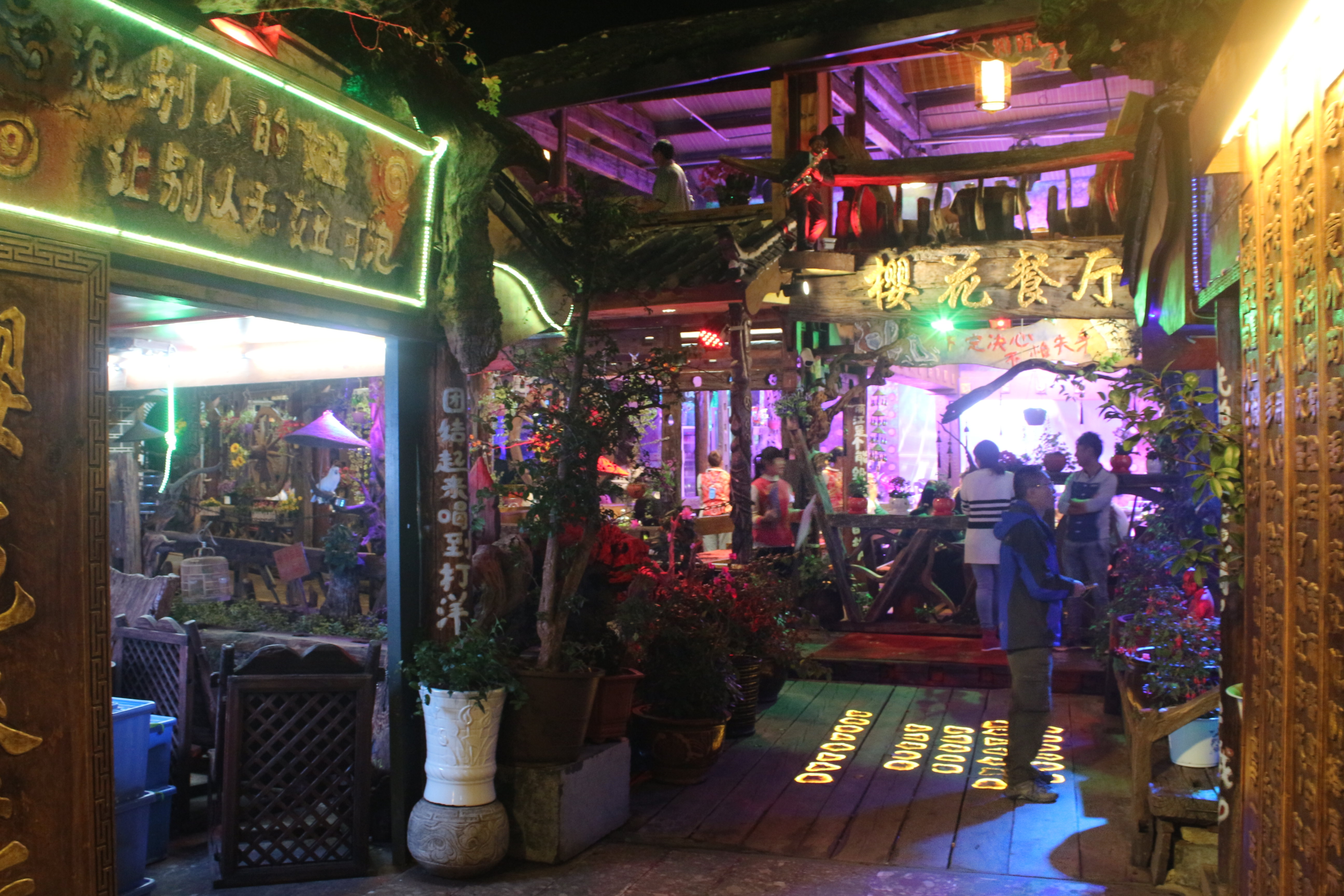 丽江古城樱花餐厅图片图片