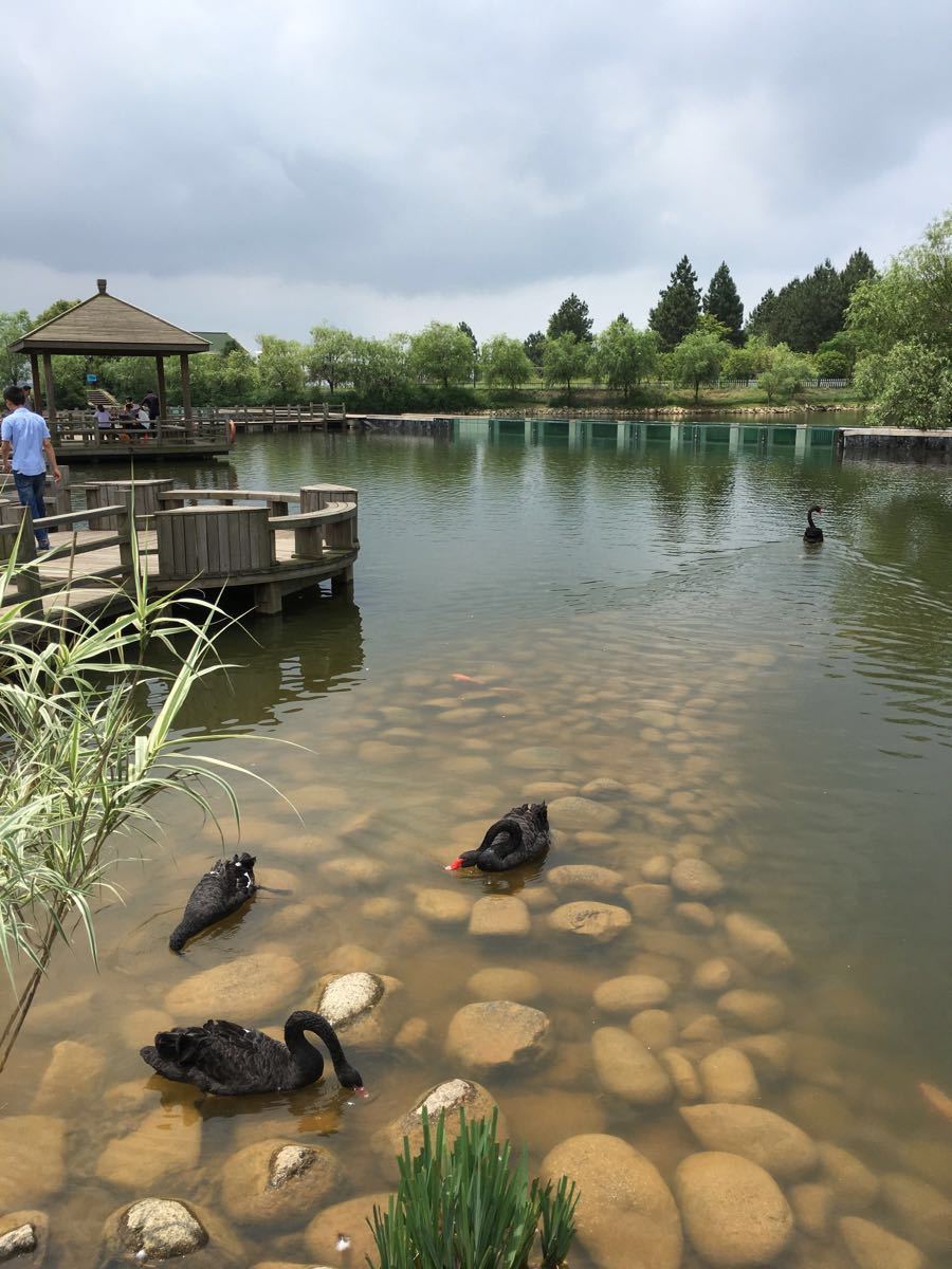 2019鄱阳湖国家湿地公园