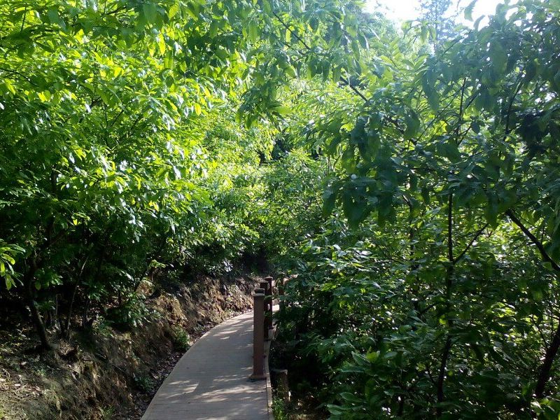 十堰四方山植物園遊玩攻略-四方山植物園門票多少錢/價格表-團購票價