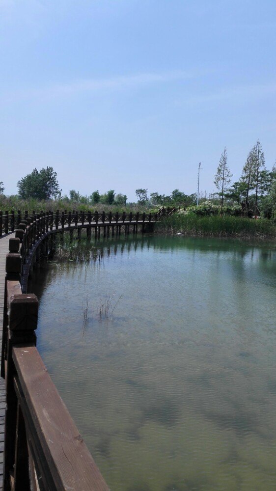 江蘇洪澤湖溼地公園景點怎麼樣_點評_評價