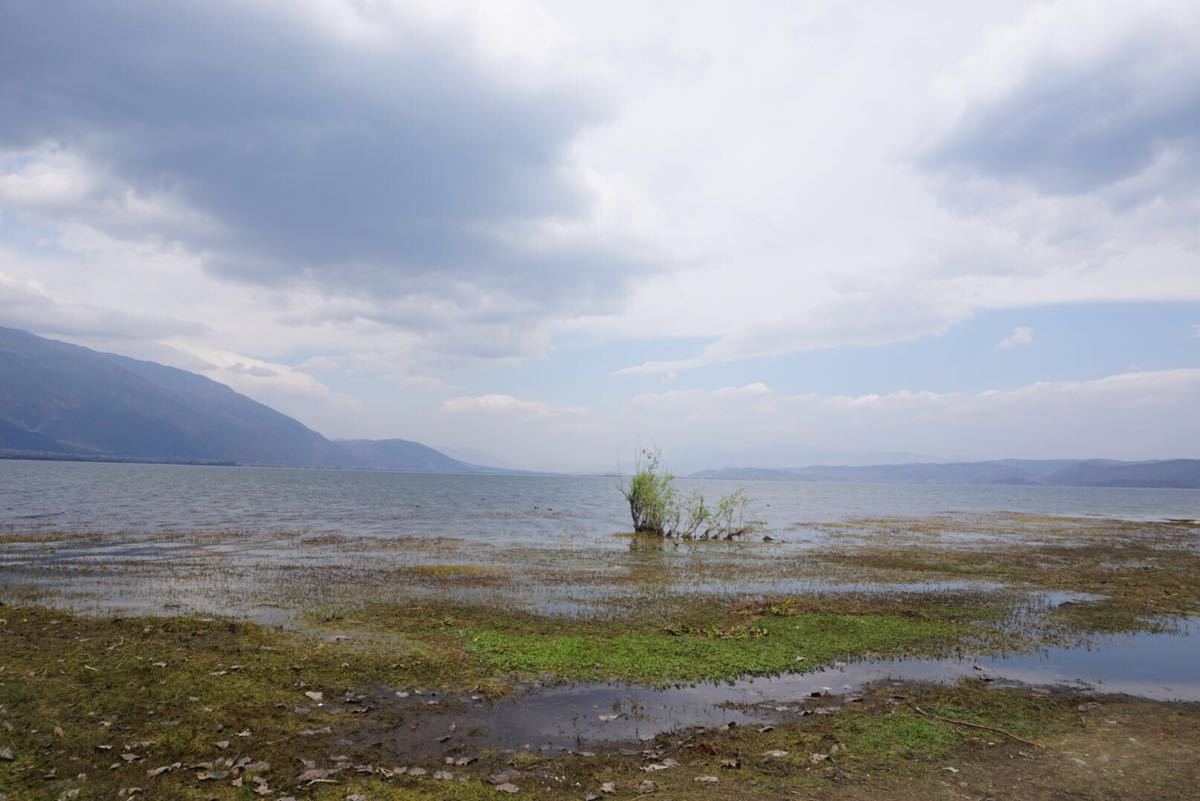 海舌生态公园