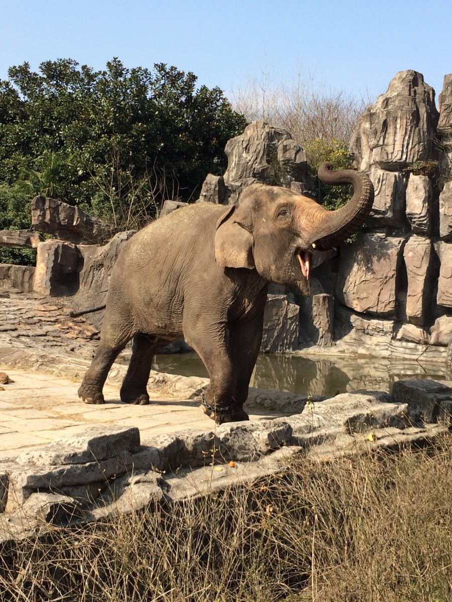 杭州野生動物世界