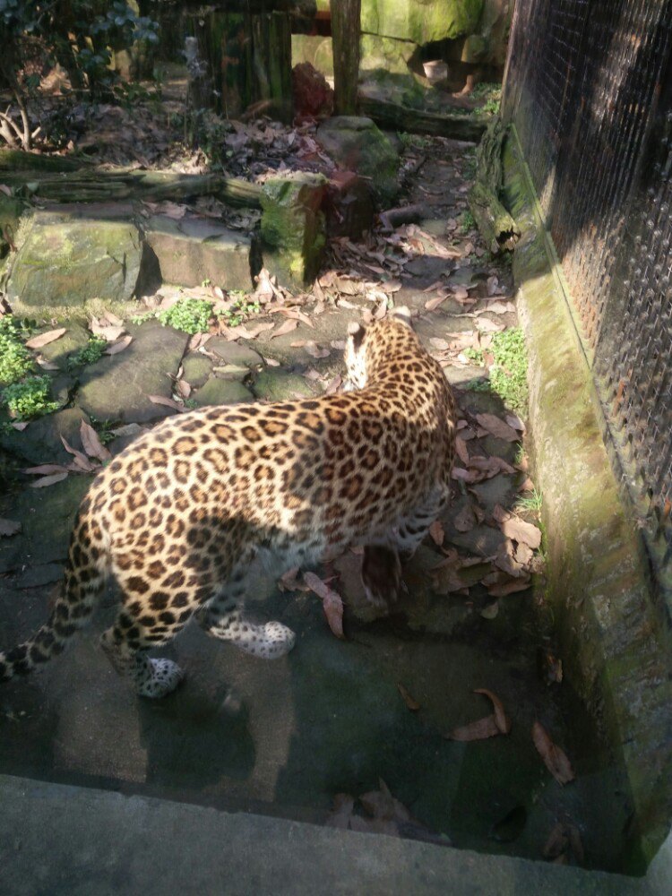 杭州動物園