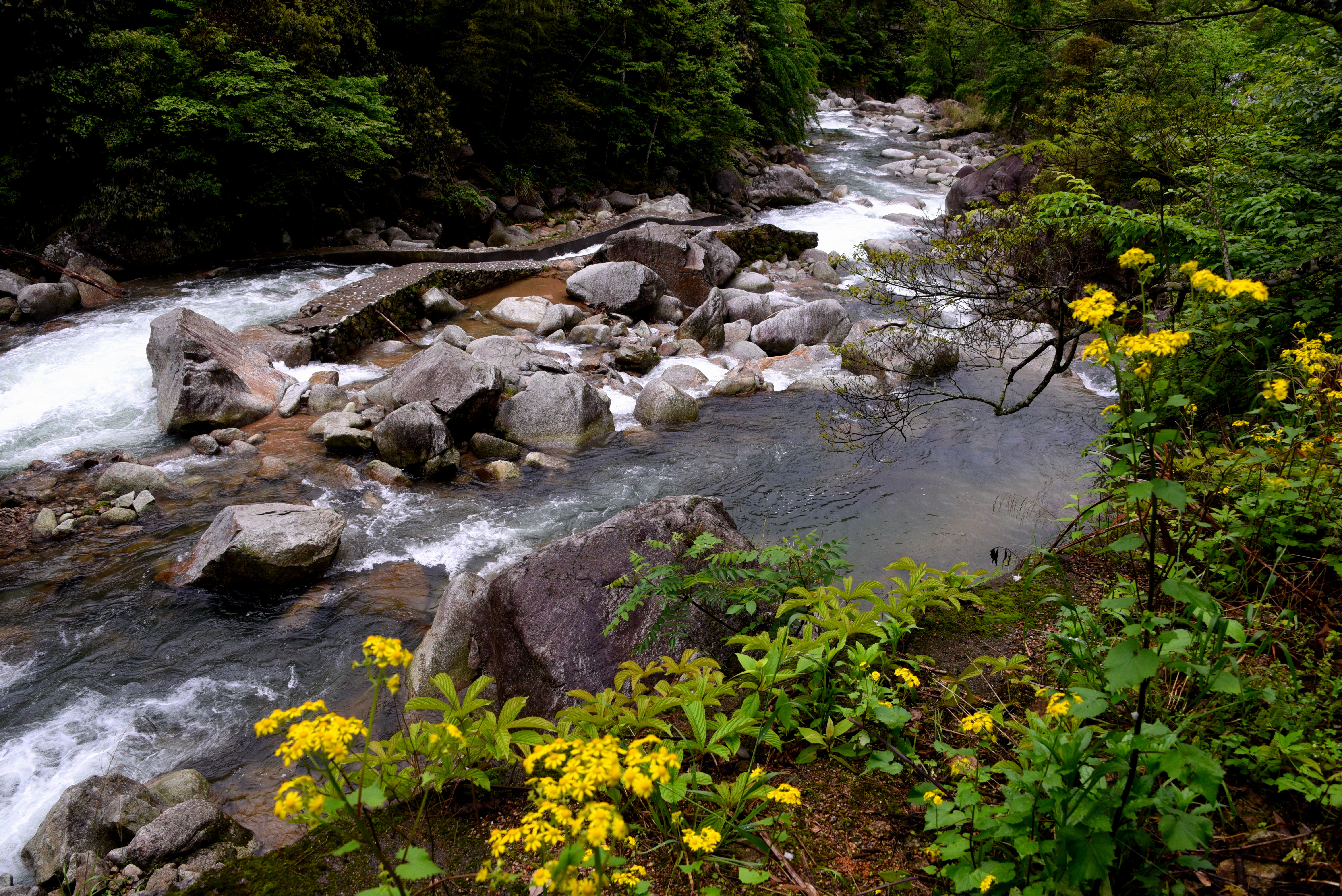 【携程攻略】炎陵神农谷国家森林公园景点,神龙谷位于炎陵县东北部,距