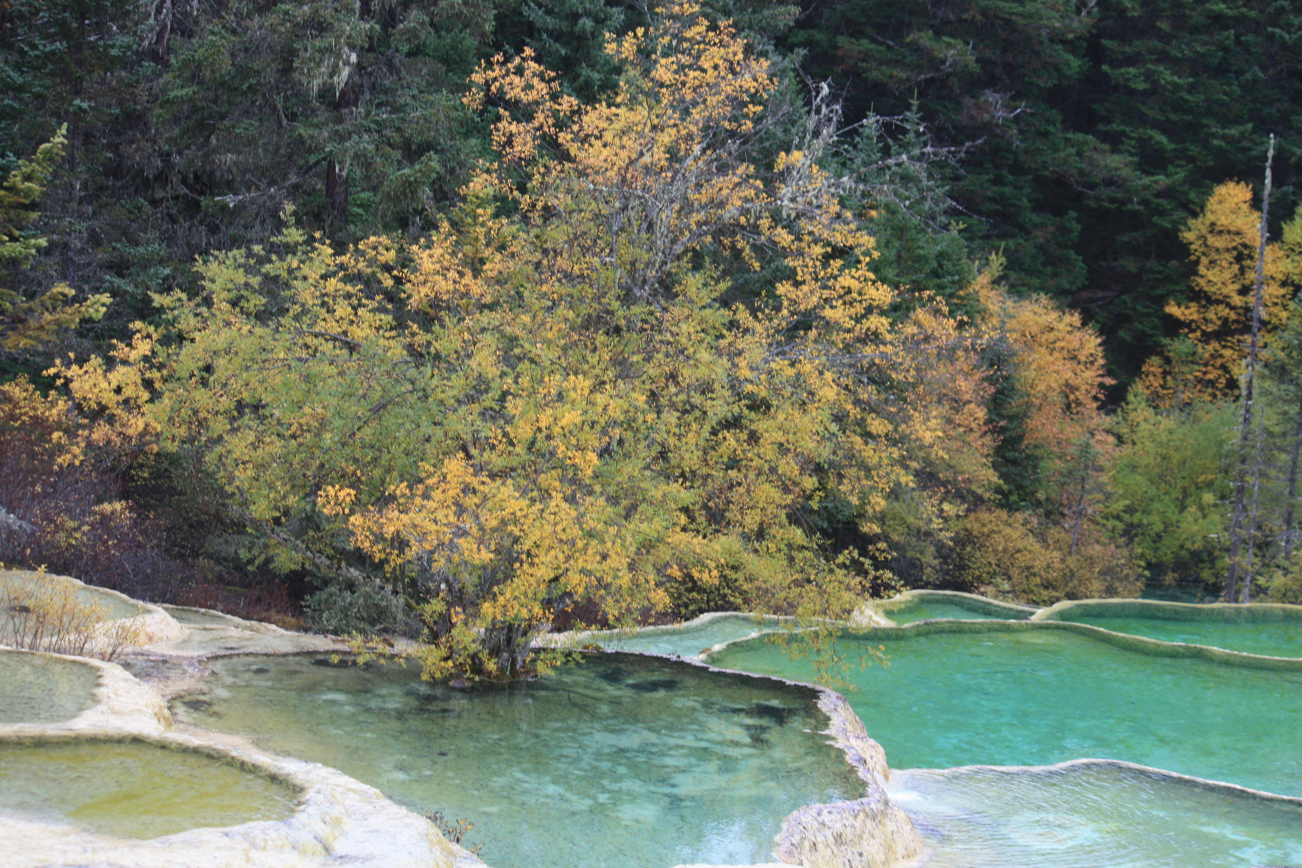 2019迎賓池_旅遊攻略_門票_地址_遊記點評,黃龍風景名勝區旅遊景點