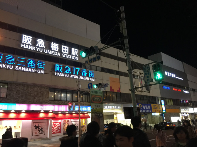 小锘锘之家的日本赏樱自由行!