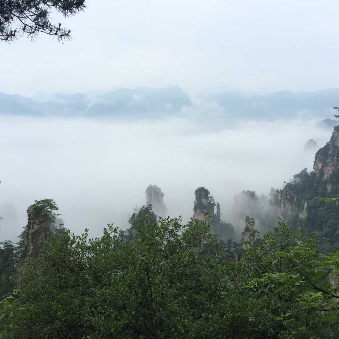 張家界4月份是多雨季節,出行可以參考一下天氣預報