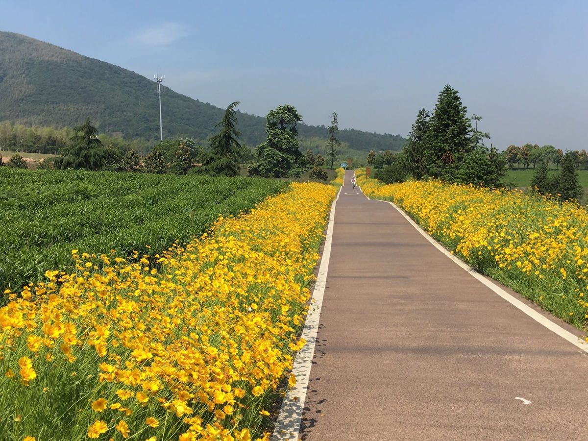 龙池山自行车公园