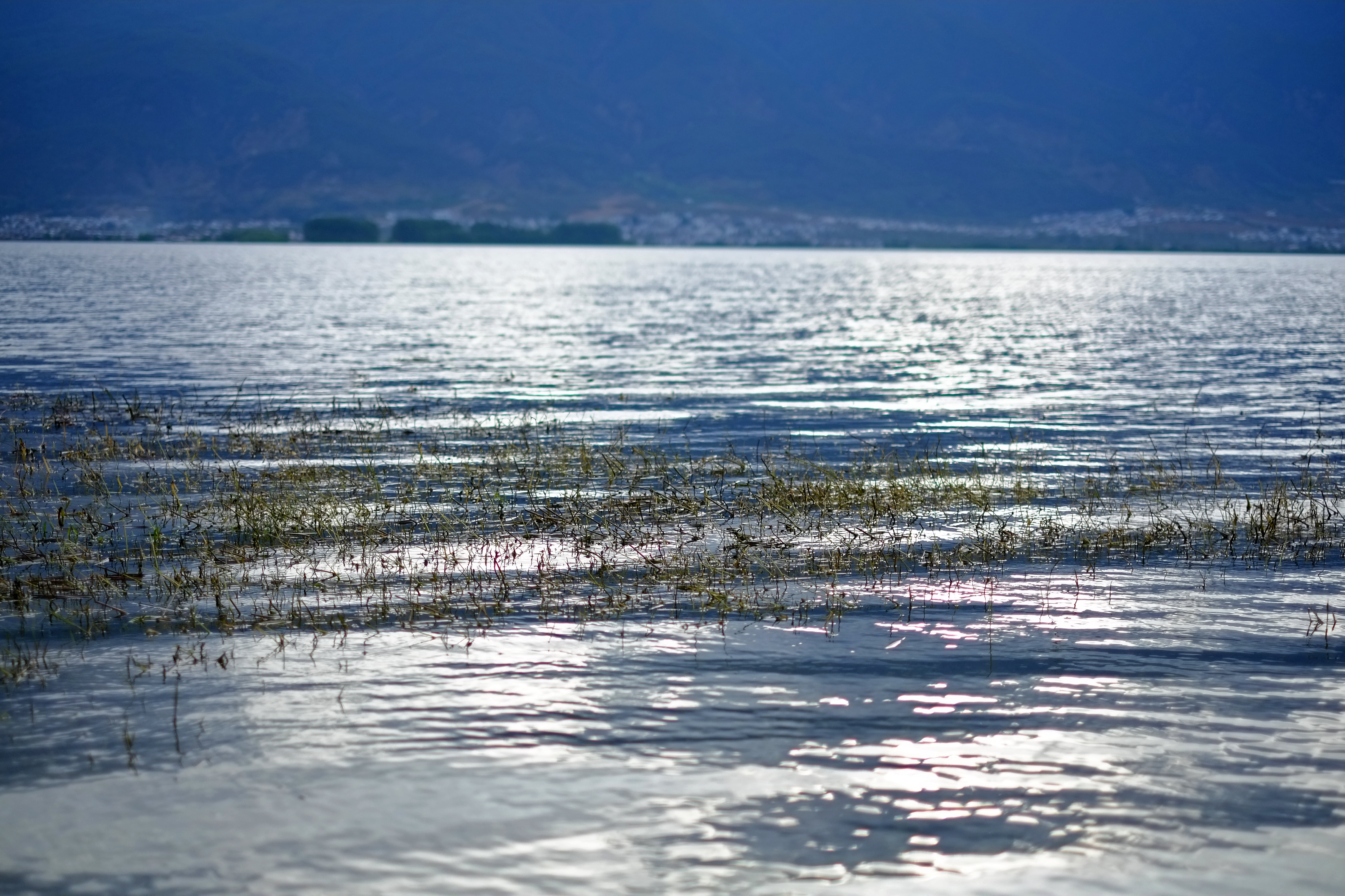 海舌生态公园