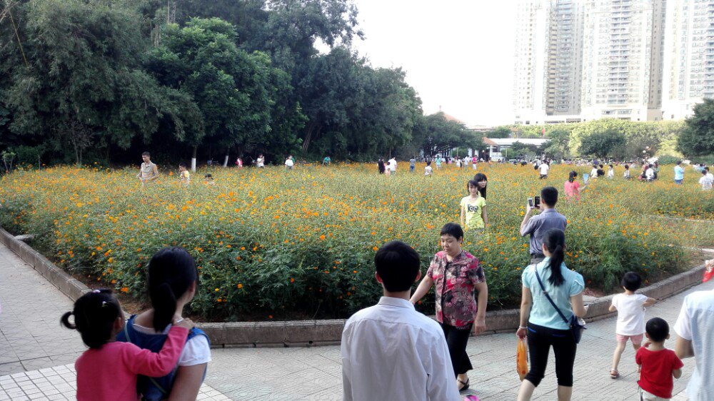 【攜程攻略】廣東虎門公園景點,帶家人休閒娛樂的好地方!