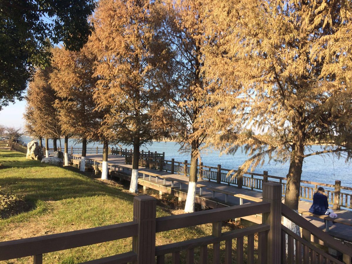 2020昆秀湖游玩攻略,完全免费对外开放的公园,适. 【去哪儿攻略】