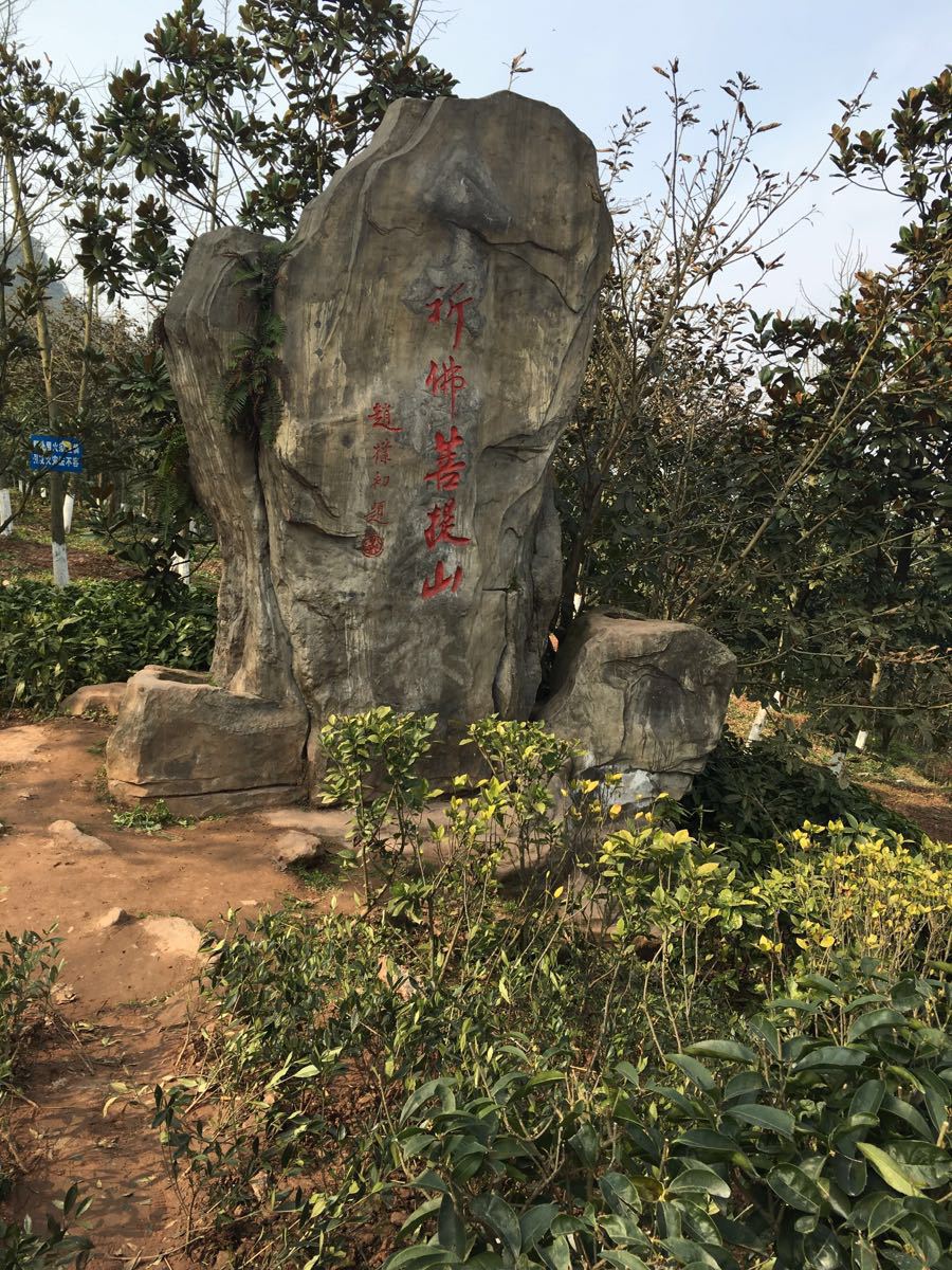 长寿区菩提山好玩吗,长寿区菩提山景点怎么样_点评_评价【携程攻略】