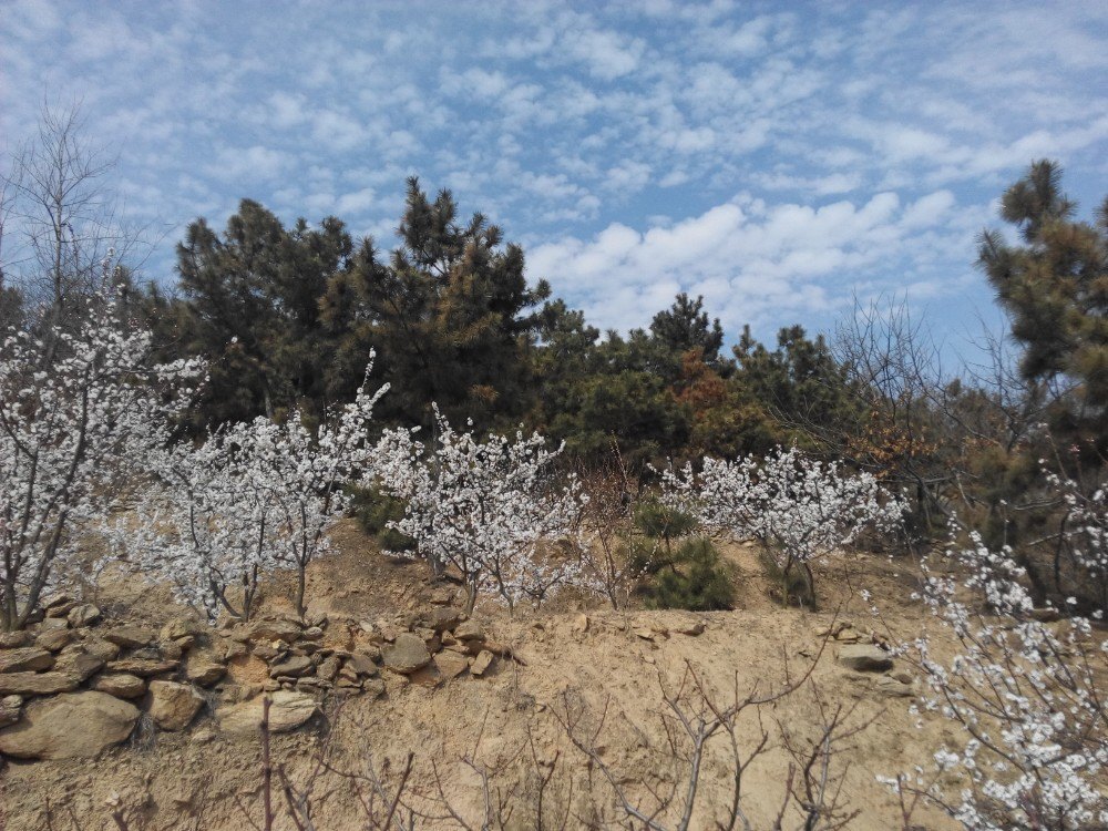 2019冠山風景旅遊區_旅遊攻略_門票_地址_遊記點評,臨沭旅遊景點推薦