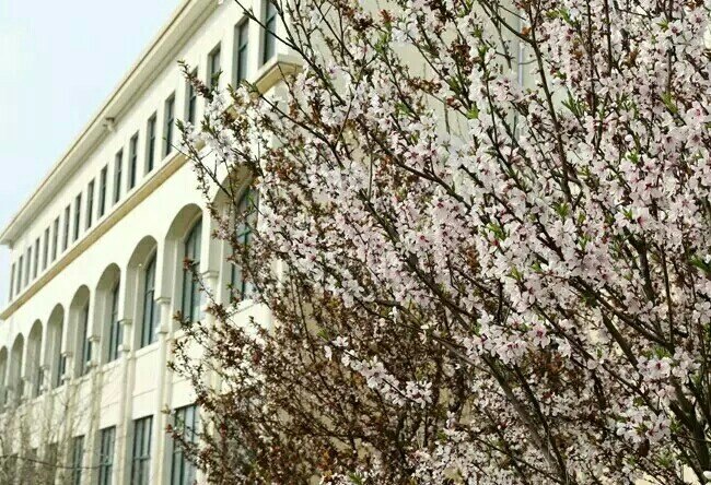 安徽世杰电脑专修学院