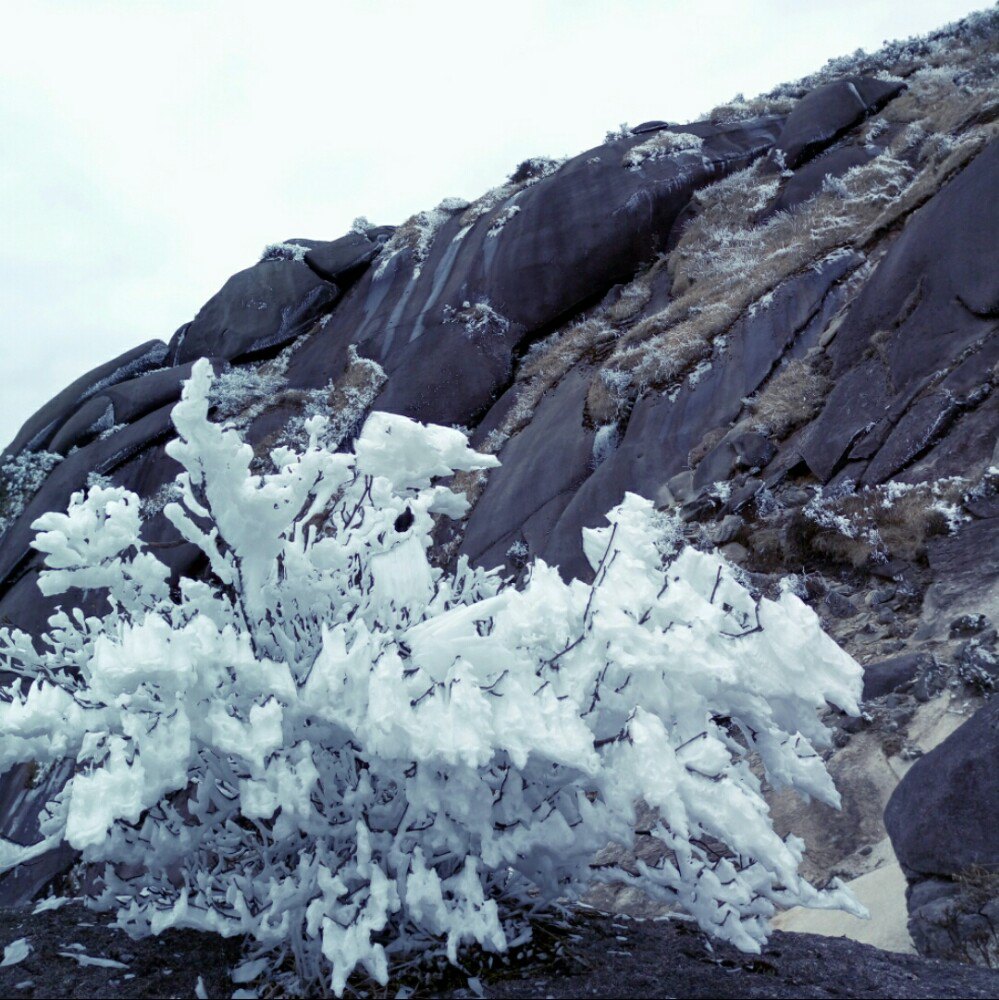 梁野山自然保护区